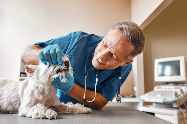 Best Emergency Tooth Extraction in San Clemente, CA